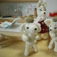 Acorn Cup As A Hat  ドングリぼうし